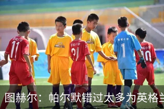图赫尔：帕尔默错过太多为英格兰效力的机会，我不怪他但这是事实
